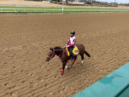 デルマー競馬場で調整するフォーエバーヤング