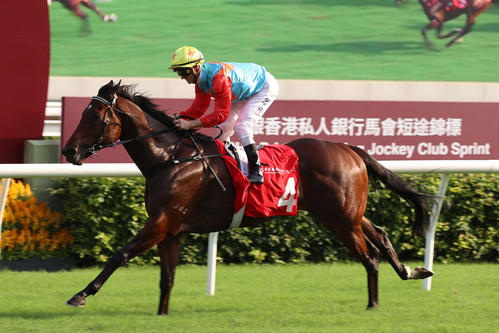 香港スプリントに出走するカーインライジング(C)The Hong Kong Jockey Club