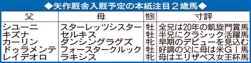 矢作厩舎入厩予定の日刊スポーツ注目2歳馬