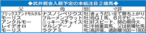 武井厩舎入厩予定の日刊スポーツ注目2歳馬