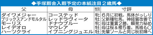 手塚厩舎入厩予定の日刊スポーツ注目2歳馬