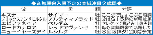 音無厩舎入厩予定の日刊スポーツ注目2歳馬