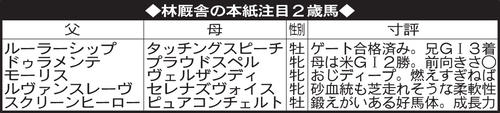 林厩舎の本紙注目２歳馬