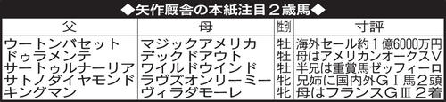 矢作厩舎の本紙注目2歳馬