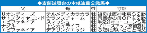 斎藤誠厩舎の本紙注目２歳馬