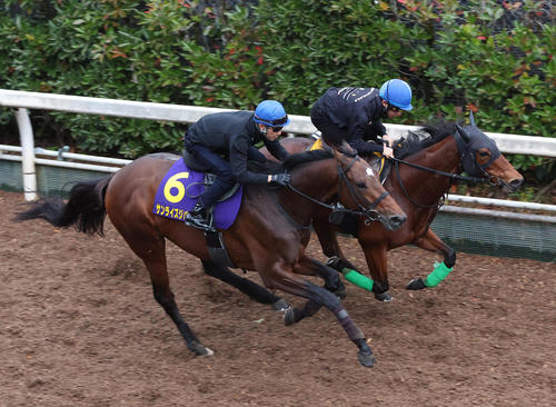 武豊騎手を背に坂路をラキエータ（右）と併せ馬で追い切るサンライズジパング（撮影・白石智彦）