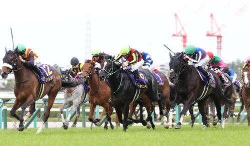 桜花賞3着に敗れたラインバック（右）。左は勝ったステレンボッシュ