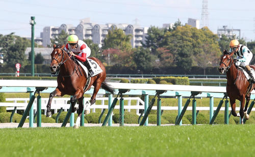 21年11月7日、阪神5R新馬戦を快勝したダノンブリザード